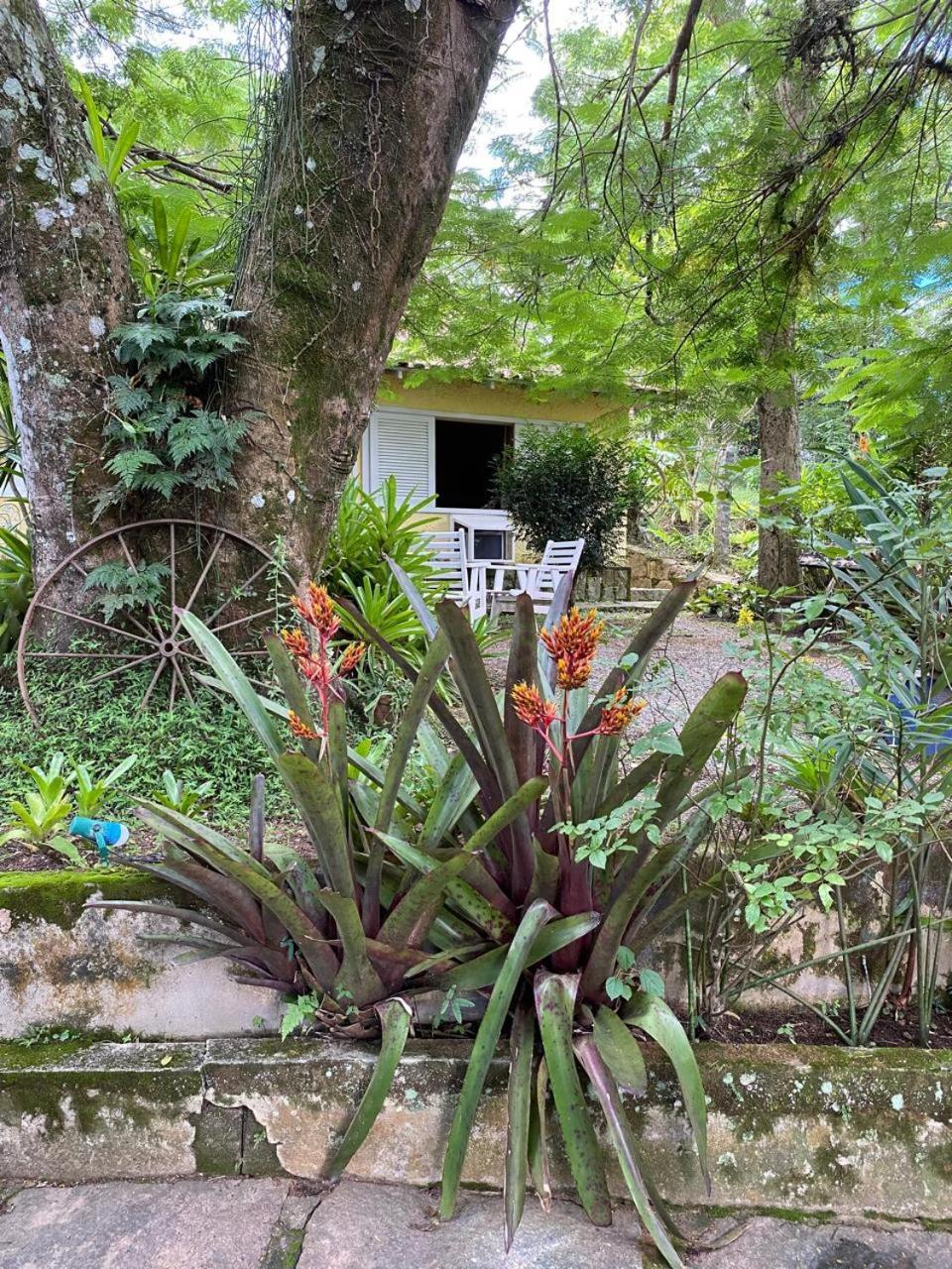 Pousada Casa Do Ipe Amarelo Miguel Pereira Kültér fotó
