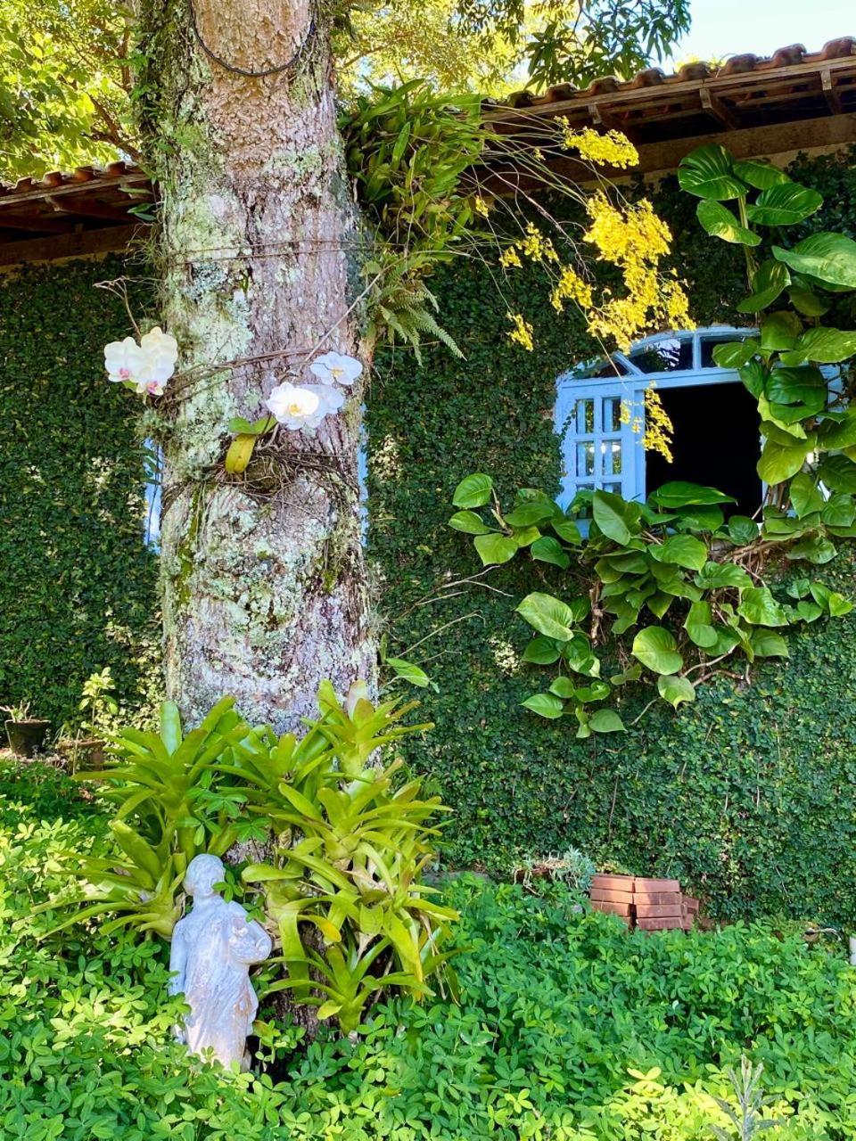 Pousada Casa Do Ipe Amarelo Miguel Pereira Kültér fotó